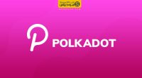 بررسی ارز دیجیتال پولکادات polkadot