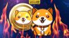 آیا بیبی دوج توکن سوزی دارد؟ بررسی انواع توکن سوزی Baby Doge