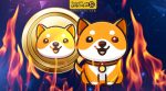 آیا بیبی دوج توکن سوزی دارد؟ بررسی انواع توکن سوزی Baby Doge