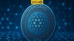 کاردانو روی کدام شبکه است؟
