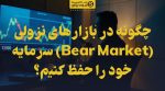 تصویر شاخص چگونه در بازارهای نزولی (Bear Market) سرمایه خود را حفظ کنیم؟